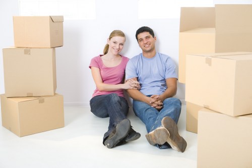 Professional man and van in Colindale for safe transport
